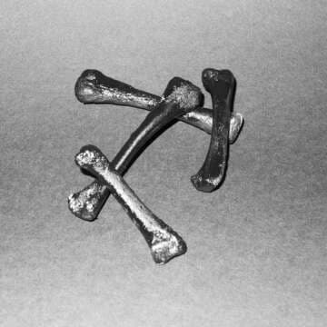 Vakant presenta Premiesku – Pe Dos