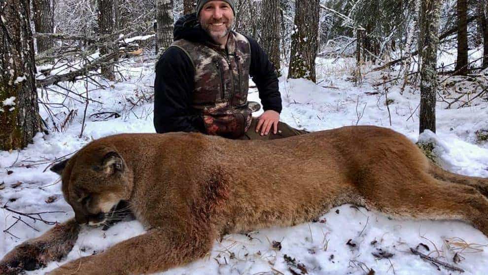 Oficialmente extinto el puma del este de Norteamérica