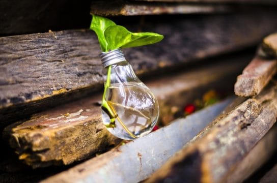 En Colombia perdemos $2 billones anuales por no reciclar