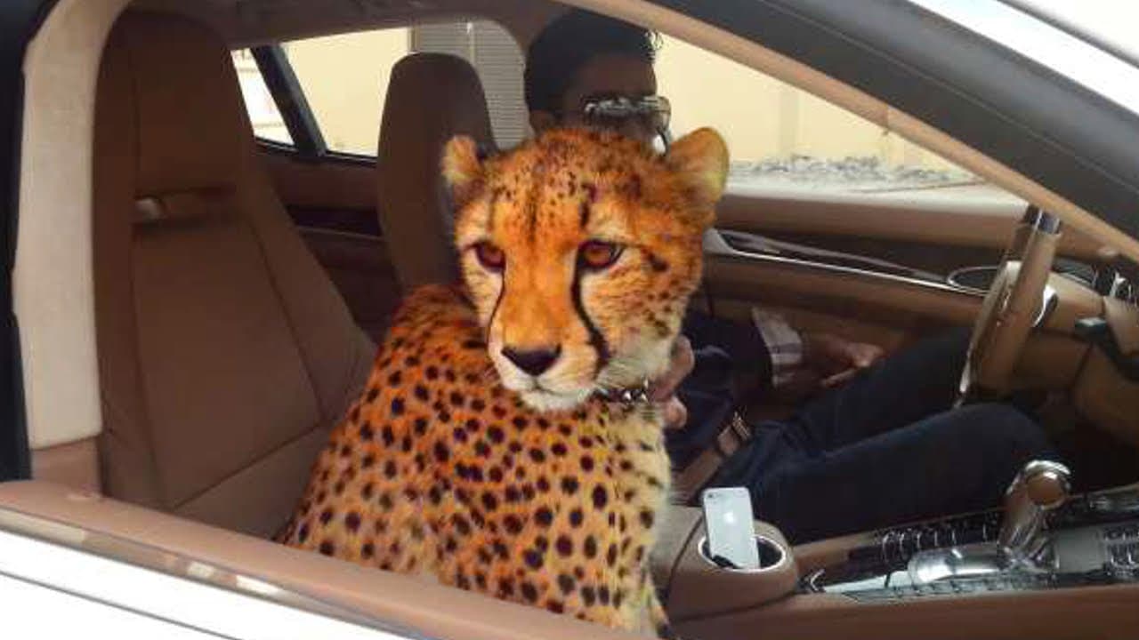 Ricos (10% de la población) crean más del 50% de la contaminación mundial