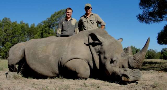 Por 350 mil dolares subastan permiso para cazar un Rinoceronte Negro en Namibia