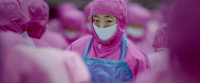 Este vídeo os dejará sin aliento… ¿Hasta aquí hemos llegado? ¿Nunca cambiaremos?…