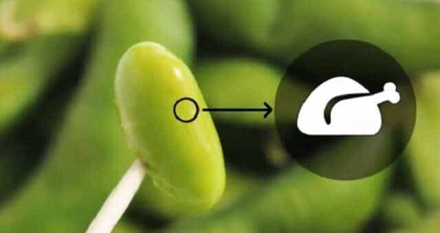 El futuro de la comida según Bill Gates: Semillas con sabor a carne