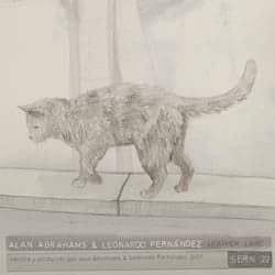 Nuevo Release de la Serie N (Series Media)