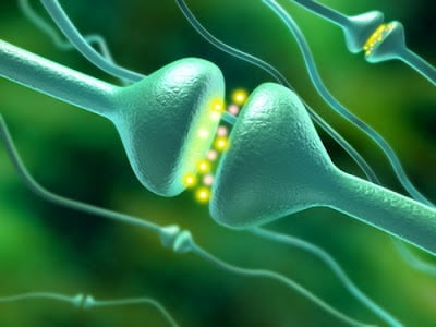 La serotonina. Qué es y para qué sirve