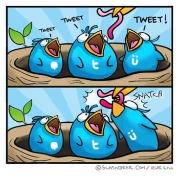 Cómo participar de la Sesión Twitter LIVE con HEARTTHROB? / How to participate?