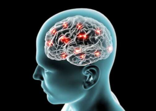 LOS ENGAÑOS DEL CEREBRO