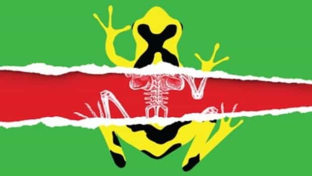 Conciencia: La Sexta Extinción! SOLO EL 10% DE ESPECIES SOBREVIVIRÁN EN TAN SOLO 50 AÑOS