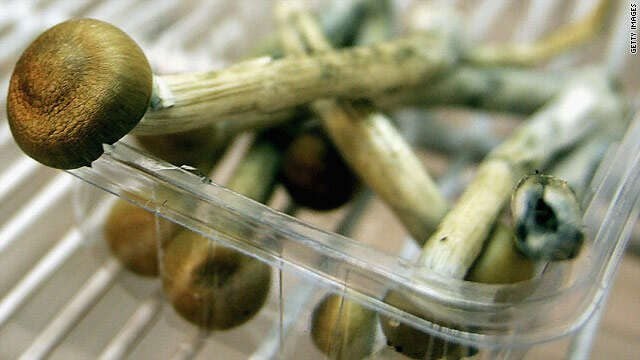 Los hongos alucinógenos podrían ayudar en padecimientos mentales