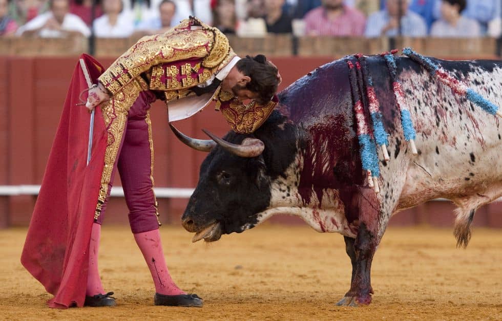UNESCO dice NO a tauromaquia como Patrimonio Cultural de la Humanidad