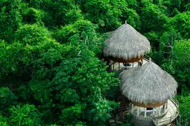 Polémica: Six Senses hotel 7 estrellas en el Parque Tayrona. Unete a la causa e investiguemos juntos!