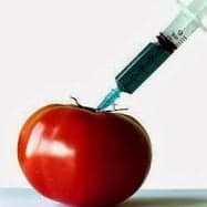 Top 20 de comida transgénica que debemos evitar