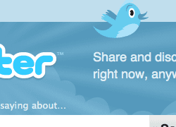 Te gusta: Twitter para dummies. Tutorial de uso.