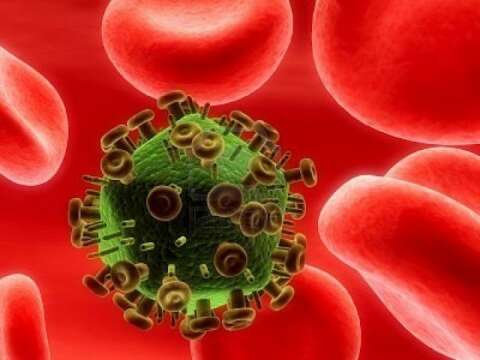 ¿Cuánto tardaría un supervirus en propagarse por todo el mundo?