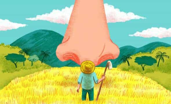 Colombia crece un 60% en cultivos de coca