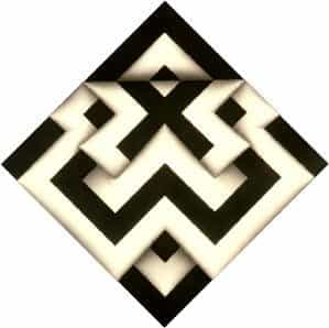 365 dias despues de la muerte de Omar Rayo, y Google le hace honra.