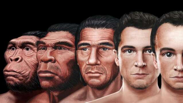 Futuros Artificiales: Así lucirá el rostro humano en su siguiente evolución