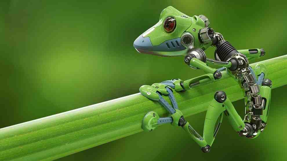 FUTUROS ARTIFICIALES: Xenobots, forma de vida completamente nueva al servicio de la humanidad.